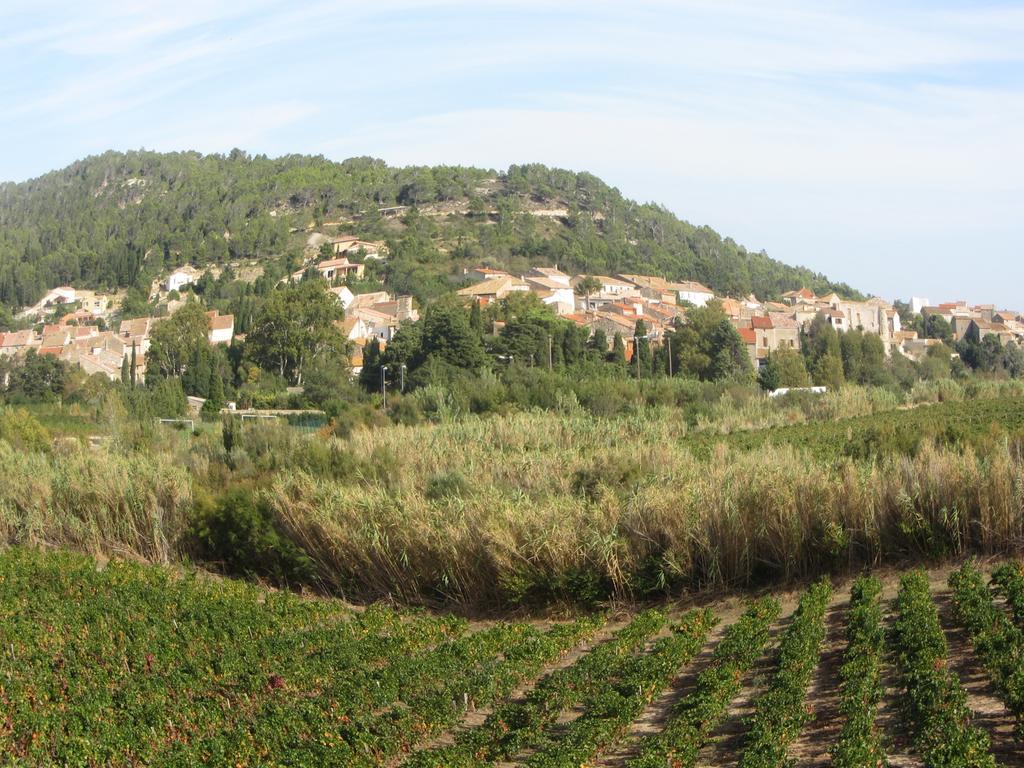 Chambre D'Hotes Le Laurier Blanc Portel-des-Corbieres Екстериор снимка